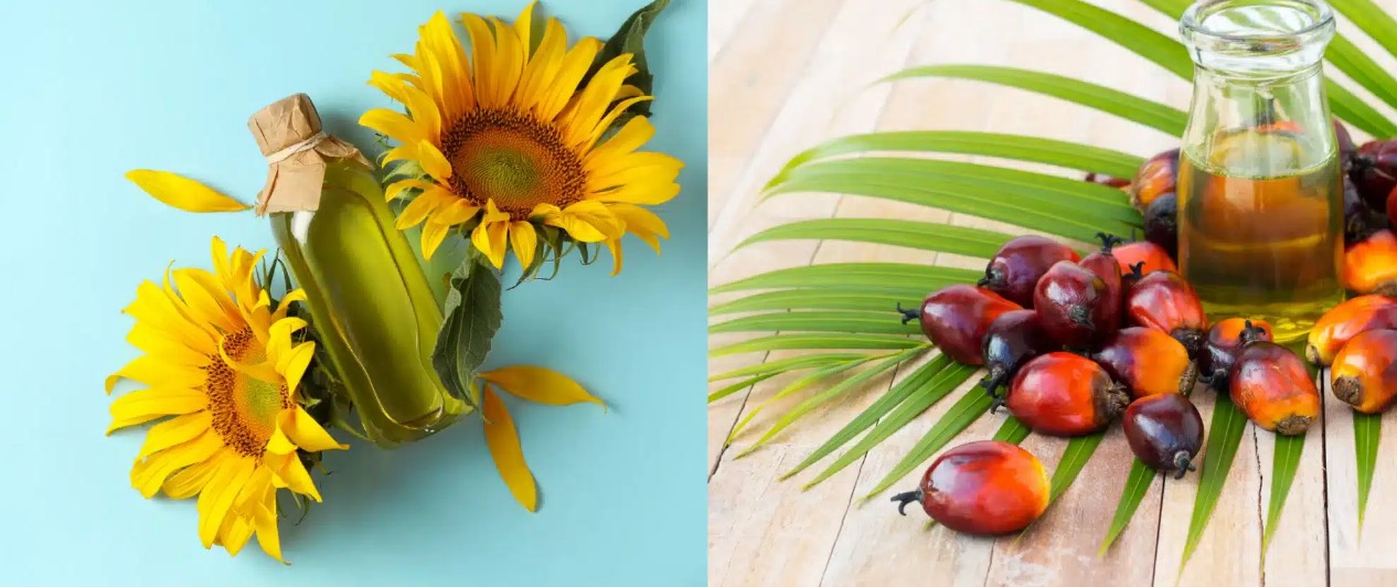 Edible Oil Equation Shifts: Palm Gains, Sunflower Slips in India’s 2025/26 Outlook