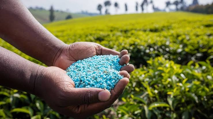 Coal India Goes Beyond Coal: ₹1,067 Cr Fertilizer Foray Redefines Core Strategy