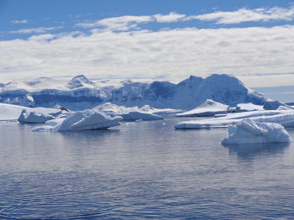 India’s Strategic Foray into Polar Regions: Shashi Tharoor Highlights Growing Arctic and Antarctic Engagement