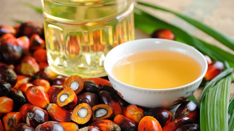 Malaysia’s Palm Oil Story in 2025 – Growth at Home, Challenges Abroad