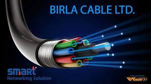 Birla Cable's Strategic Strike—America’s Connectivity Just Got a Makeover
