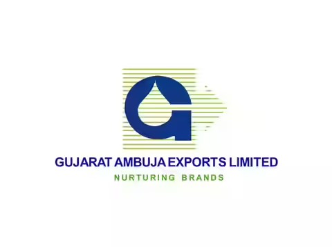 Gujarat Ambuja Exports Posts Strong Revenue Growth But Profit Softens In Q3