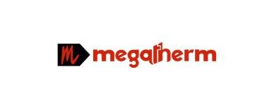 Megatherm Induction Secures ₹630 Million Bulk Orders