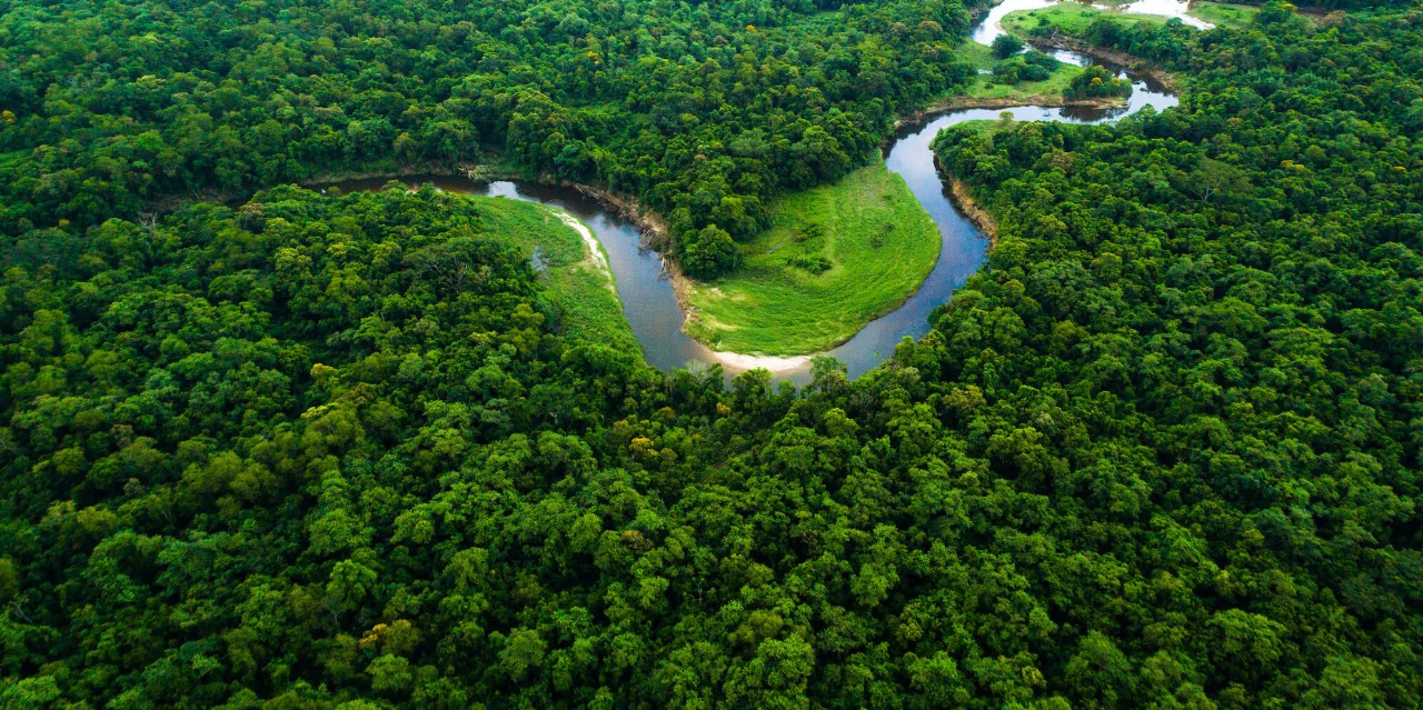 Mumbai’s Green Rings: Urban Forests Aim to Cool City by 3°C and Reclaim Lost Ecology
