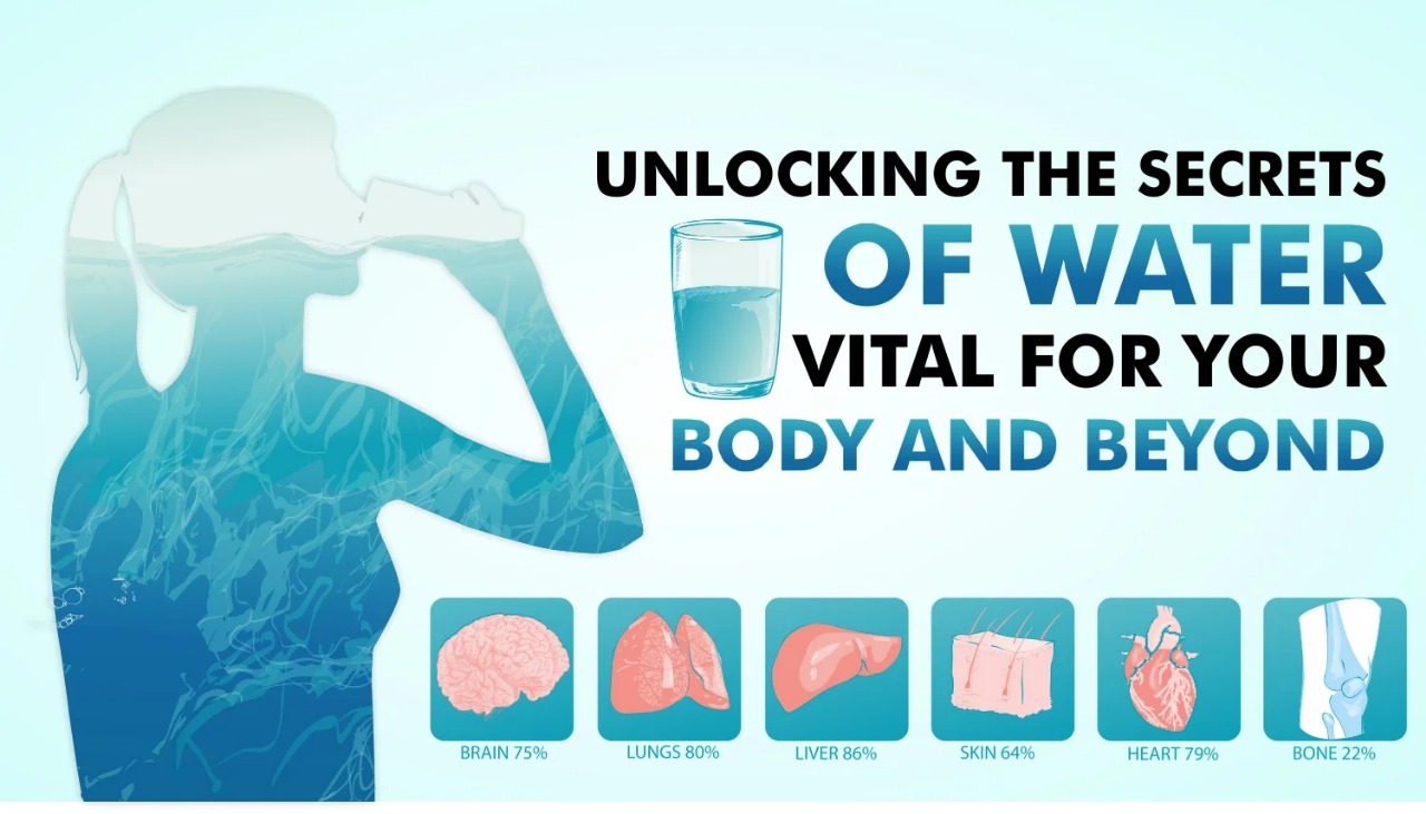 Unlocking Water’s Mysteries: From First Sip to Full Cellular Hydration