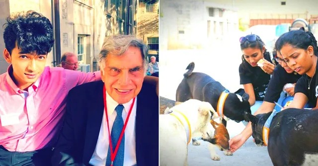 Compassion For Stray Dogs Sparks Debate After Supreme Court Remark