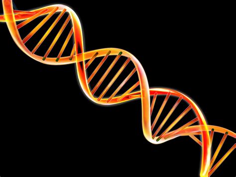 DNA Unlocks the Secrets of Indian Language Evolution