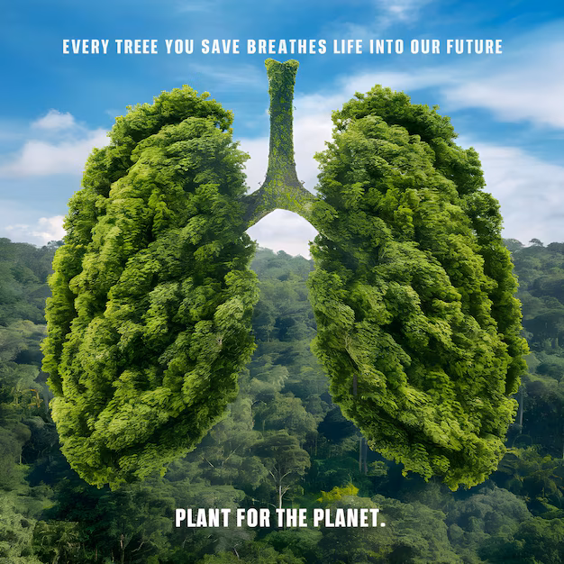 The Real Green Deal: Forests Are The Lungs of Our Planet, Let’s Keep Them Breathing!