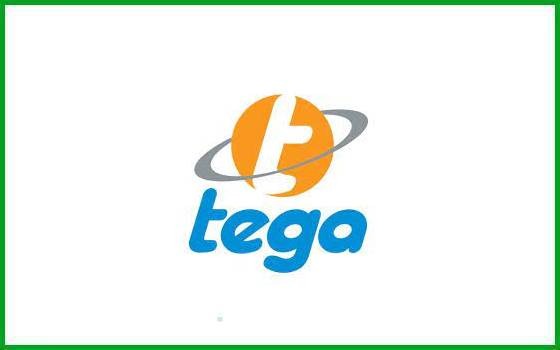 Tega Industries Clocks Steady Q4, Backs It With Rs 2 Dividend
