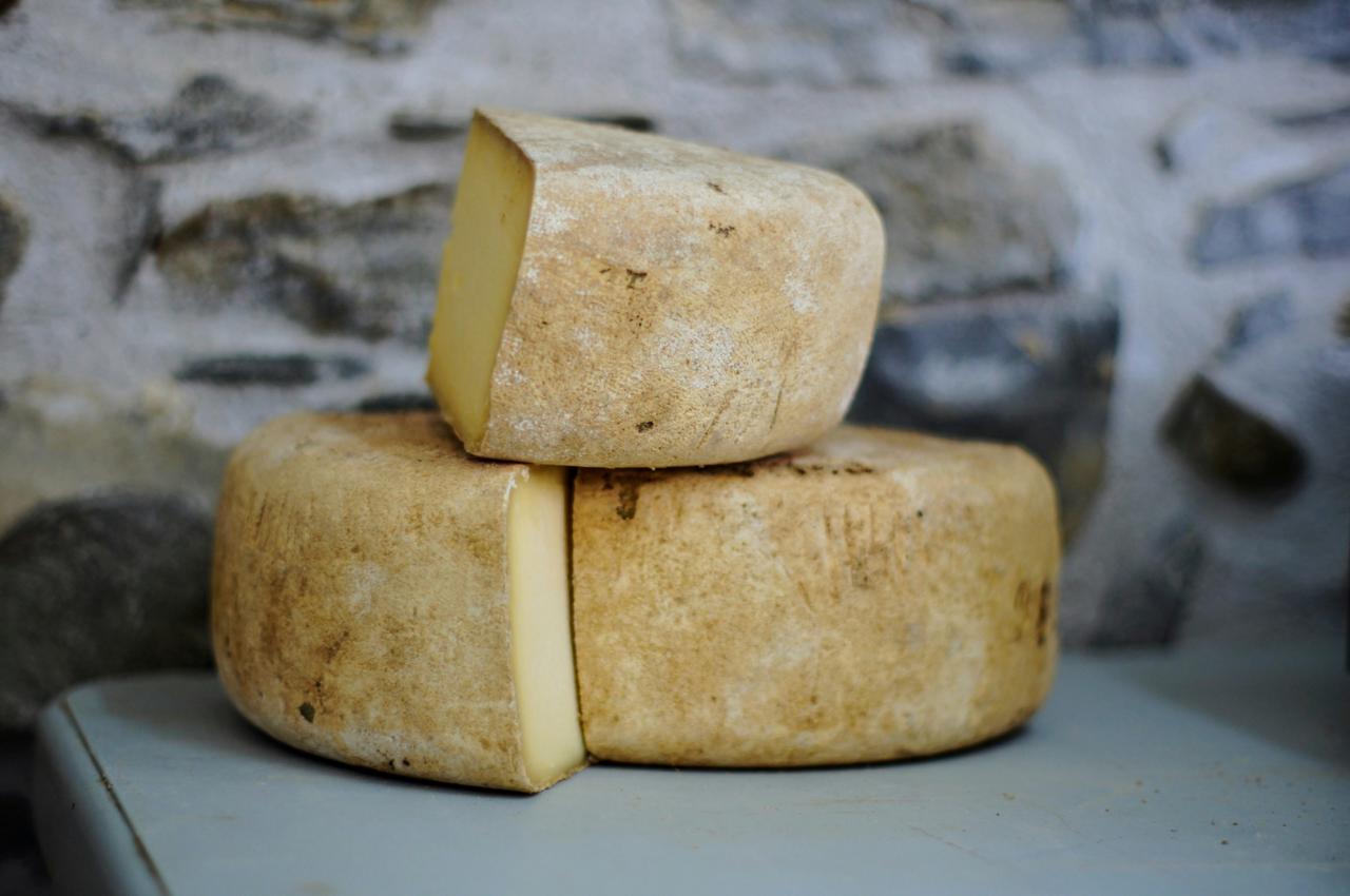 India’s Hidden Cheeses Take the Spotlight: Six Rare Regional Varieties Redefining the Country’s Dairy Heritage