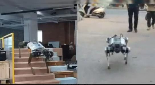 Meet Param: India’s Powerful Homegrown Robodog