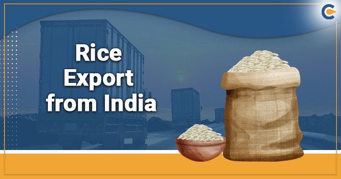 India’s Rice Exports Hit Record High in 2024, Showcasing Global Leadership
