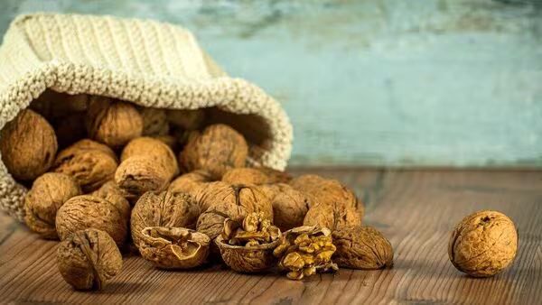 Crunch Time: Almonds, Walnuts, or Chia Seeds—Which Superfood Fuels Weight Loss & Brain Power?
