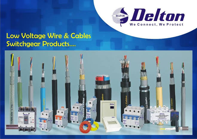 Delton Cables Q1 FY26: Firm Start to the Year with Robust Revenue and Healthy PAT Growth
