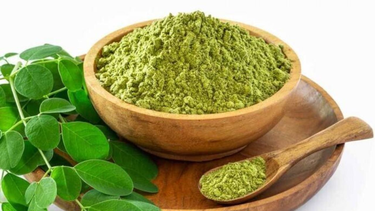 Leaf It to Moringa: Nature’s Powerhouse for Health & Healing