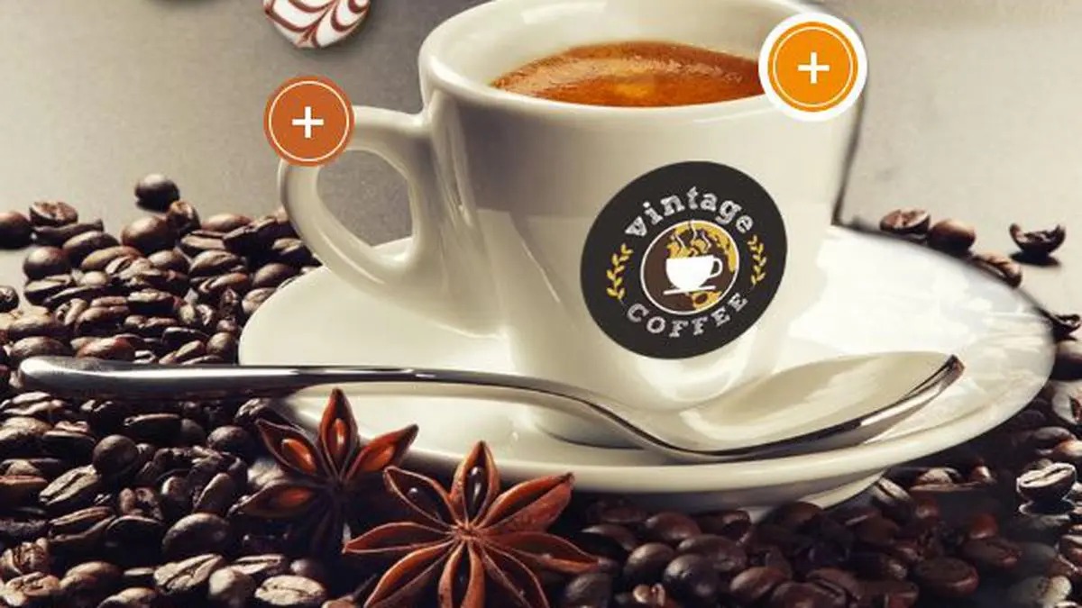 Vintage Coffee & Beverages Board Eyes Fresh Fundraising to Fuel Growth Ambitions