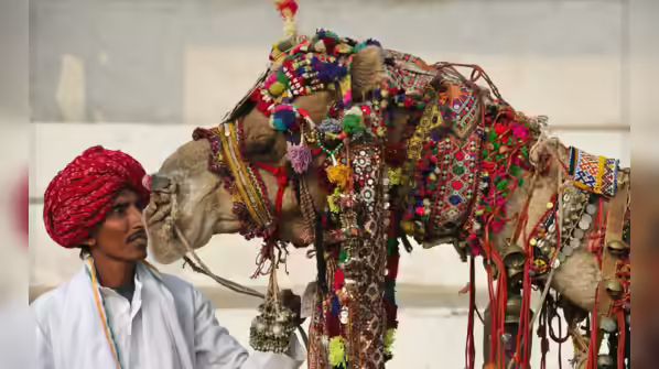 Desert Dazzle Returns: Pushkar Camel Fair 2025 Kicks Off with Culture, Camels & Carnival Vibes