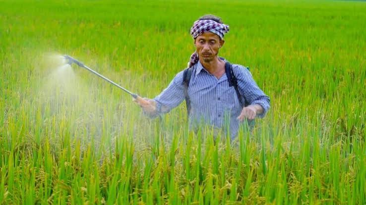 Billions in Fertiliser Subsidies-But How Much Is Being Wasted?