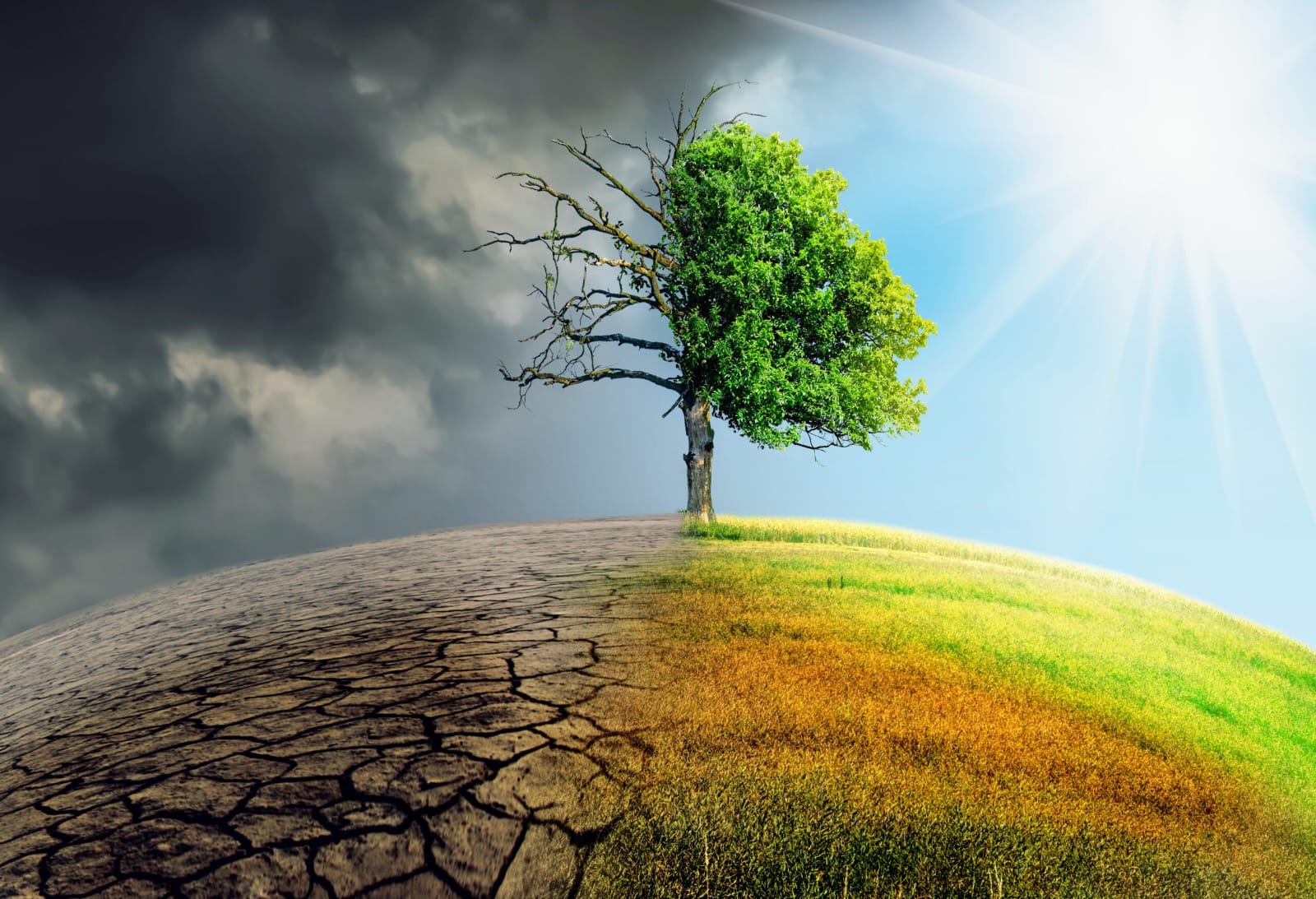 Sweating the Big Stuff: Indians Face Climate Chaos