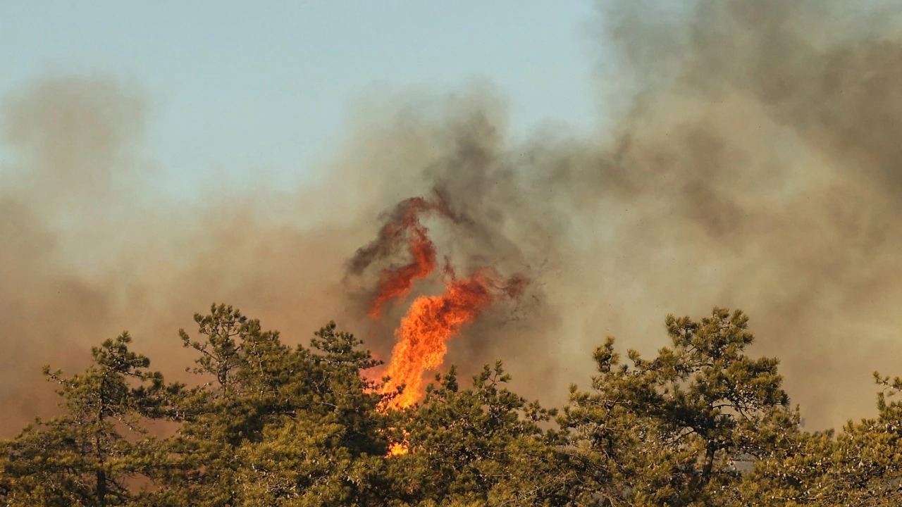 Smoke and Mirrors: How Long Island Wildfires Are Impacting New York's Air