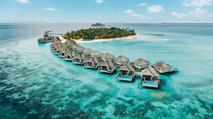 Swim with Mantas, Pay Nothing: Maldives’ Dive Free Deal Makes Waves