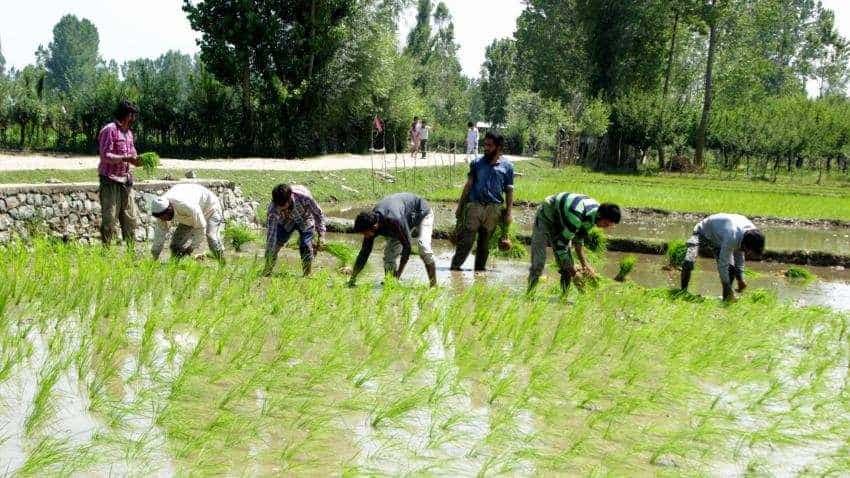Citi and SBI Join Forces to Empower Smallholder Farmers with $295 Million Social Loan