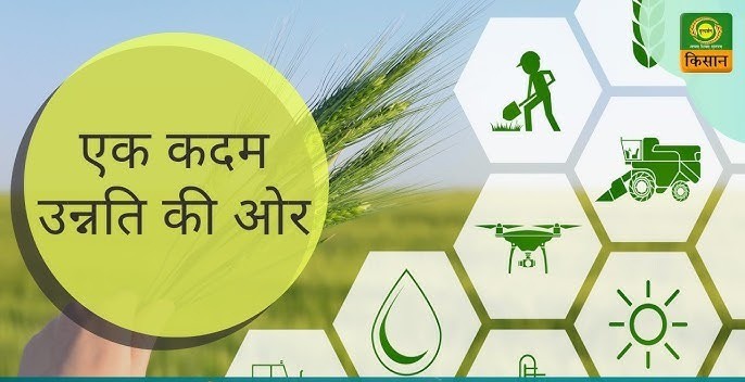 Freedom Through Farming: Gujarat’s Organic Revolution Finds a New Home