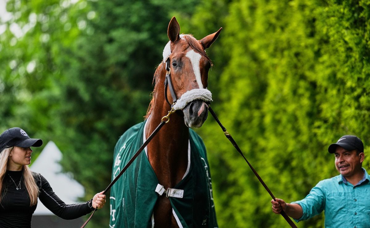 Preakness Stakes 2025: Dry Track Expected as Journalism Leads 9-Horse Lineup in Baltimore