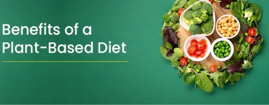 Greens for Strength: Experts Link Plant-Based Diets to Stronger Immunity and Sustainable Health