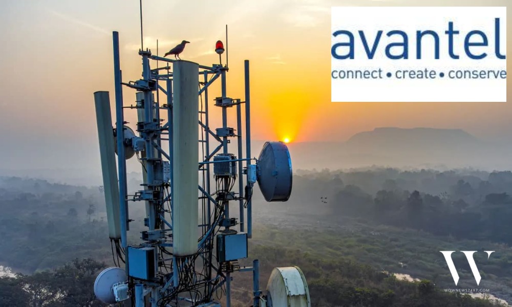 Not Just New Wins, Bigger Ones: Avantel’s Live Contract Gets A 19.2 Million Rupees Upgrade