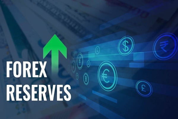 Unstoppable Rise: India’s Forex Reserves Hit $676 Billion, Defying Global Trends