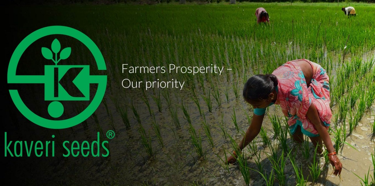 Kaveri Seed Declares Rs 5 Dividend Despite Q2 Net Loss Of Rs 154.3 Million