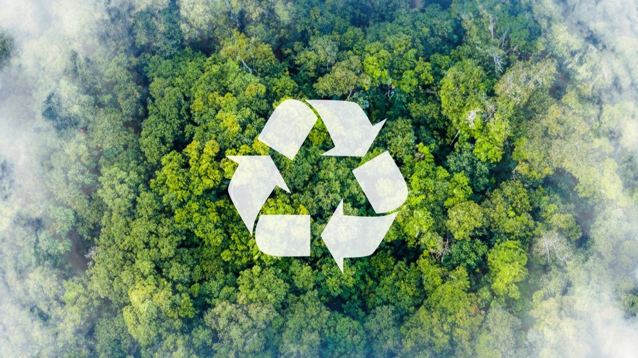Unlocking New Growth Drivers: Services, Subnational, Sustainability