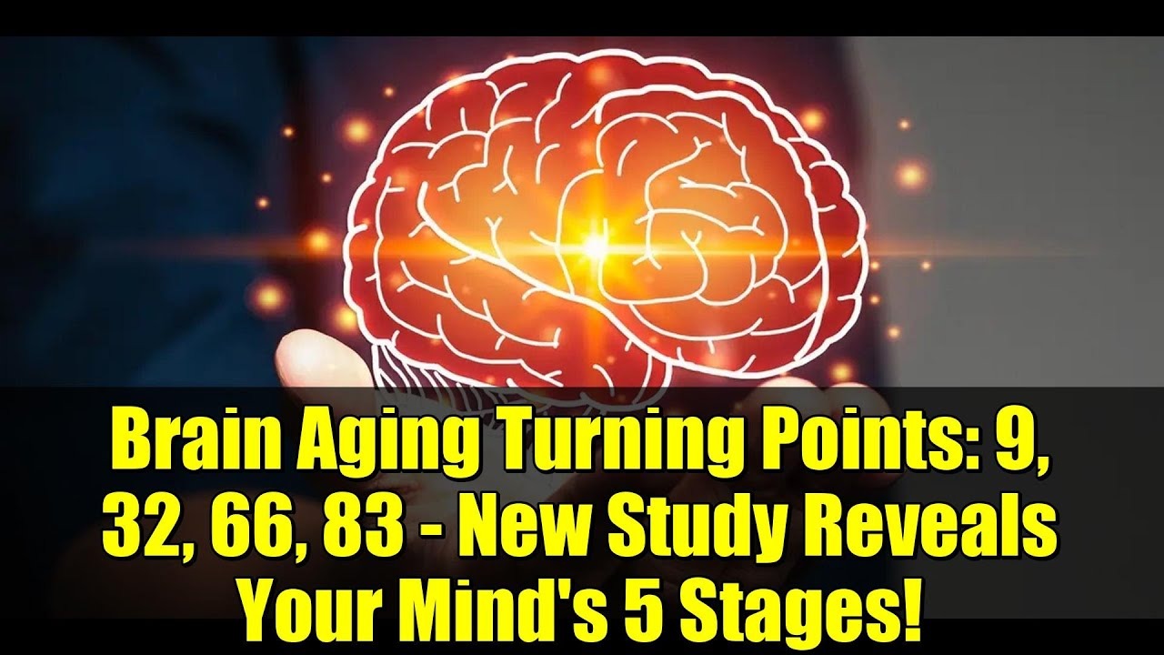 Mind’s Turning Points: Research Reveals Four Ages of Cognitive Rewiring