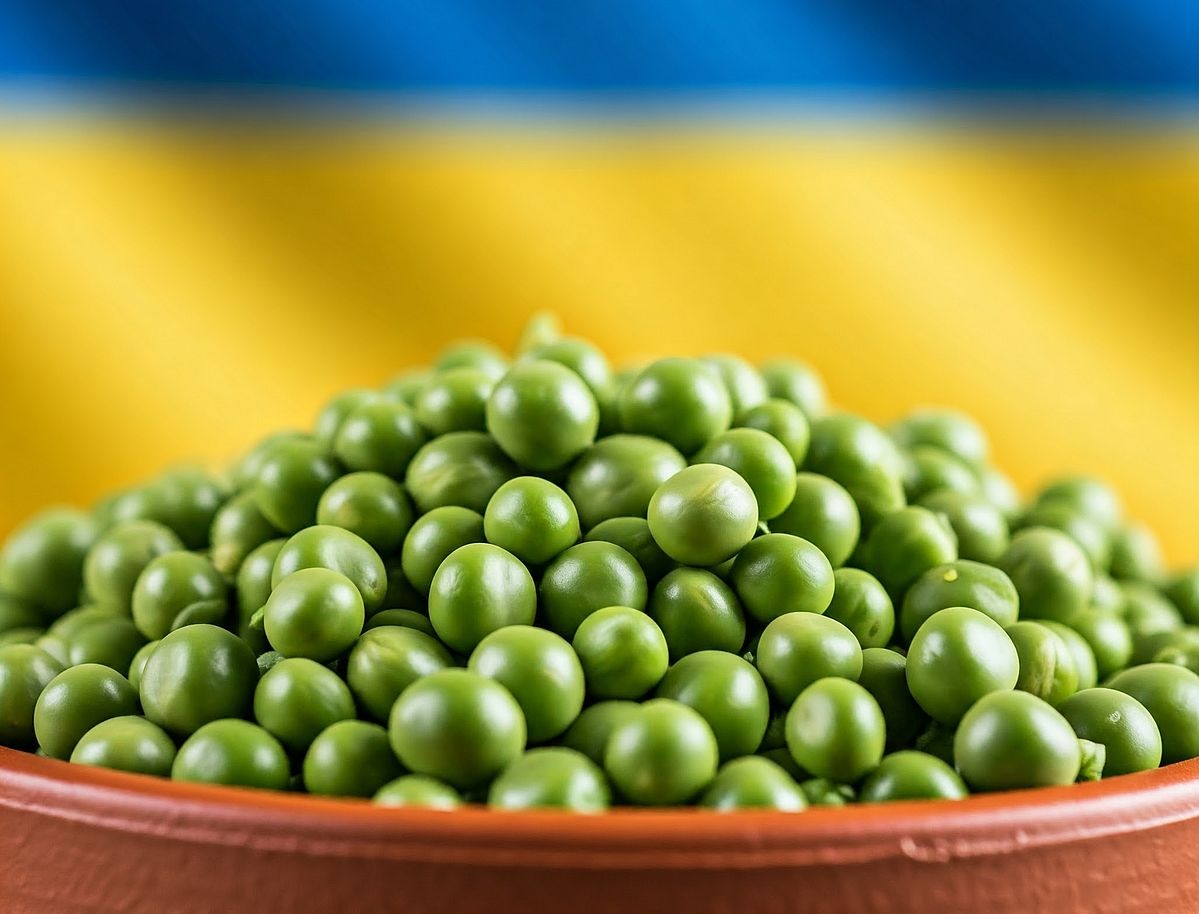Peas And Partnerships: India Emerges As Top Buyer Of Ukrainian Pulses Amid Trade Shifts