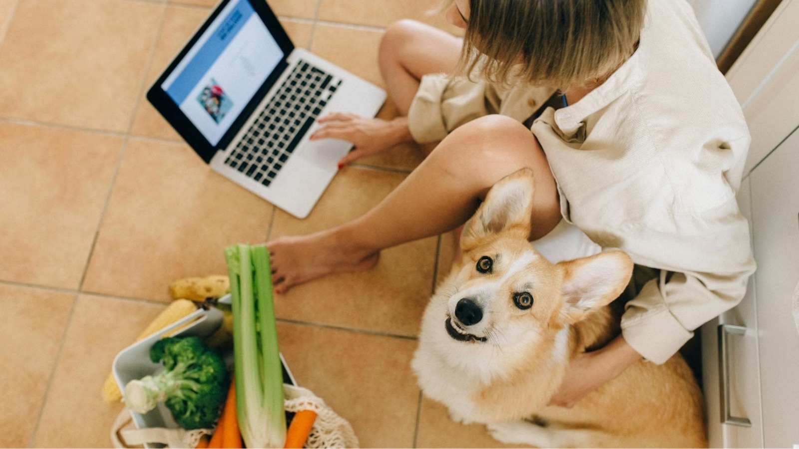 Pet Parenting In 2025: The Real Cost Of Ownership In India