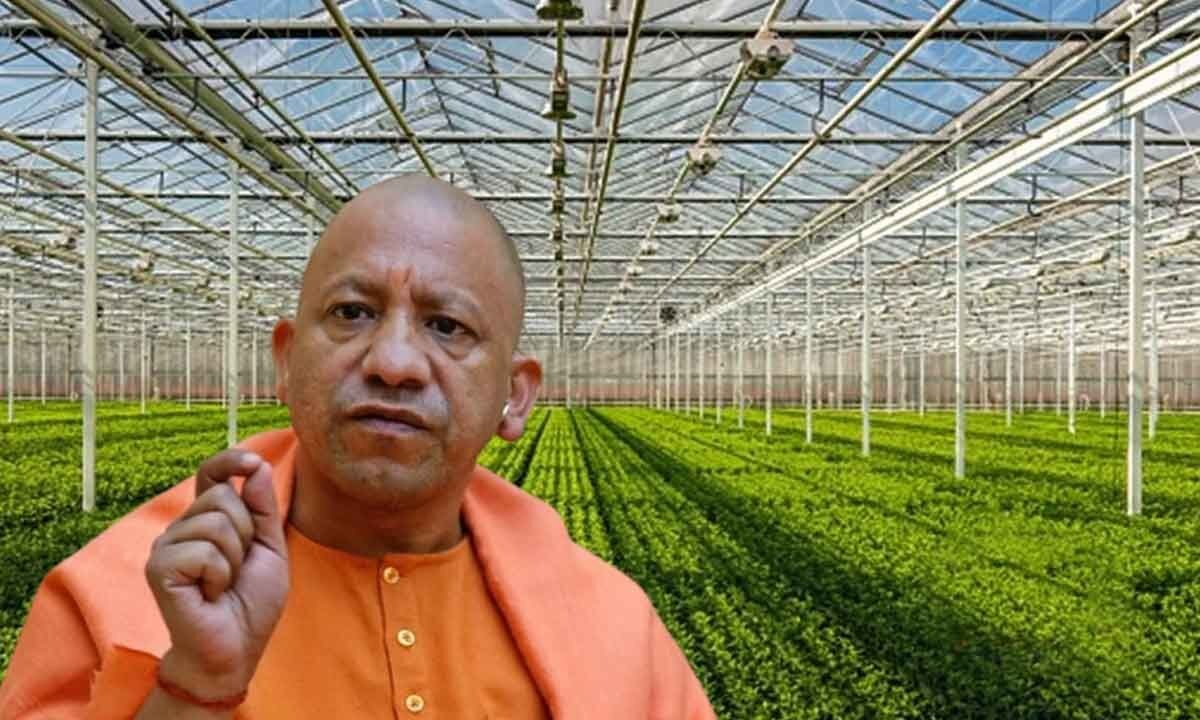 Uttar Pradesh to Launch Digital Agriculture Policy Offering Farmers Real-Time Data on Crops and Markets: CM Yogi Adityanath