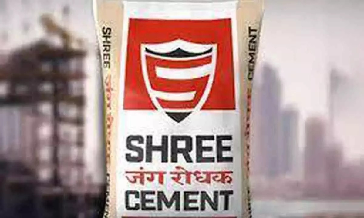 Shree Cement Q2 Misses Profit Estimate but Declares Rs 80 Dividend