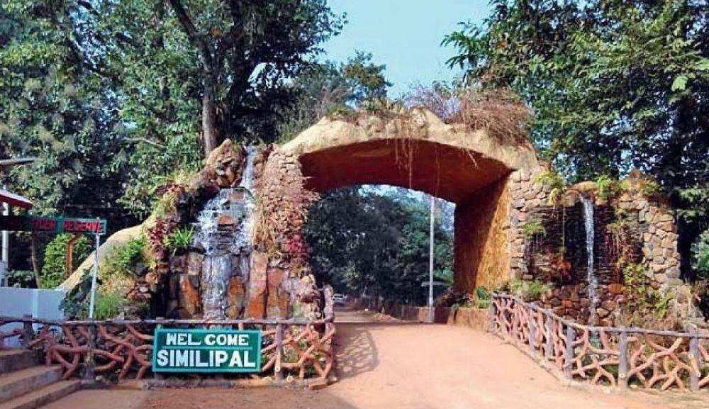 Roaring into History: Similipal Crowned India’s 107th National Park