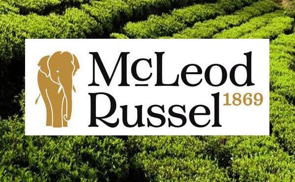 Indian Tea Association Files Insolvency Application Against McLeod Russel: What’s Next for the Tea Giant?