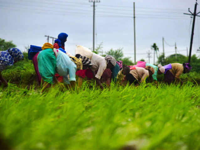 A New Lifeline for Bihar Farmers? The Kharif 2026 Scheme Explained
