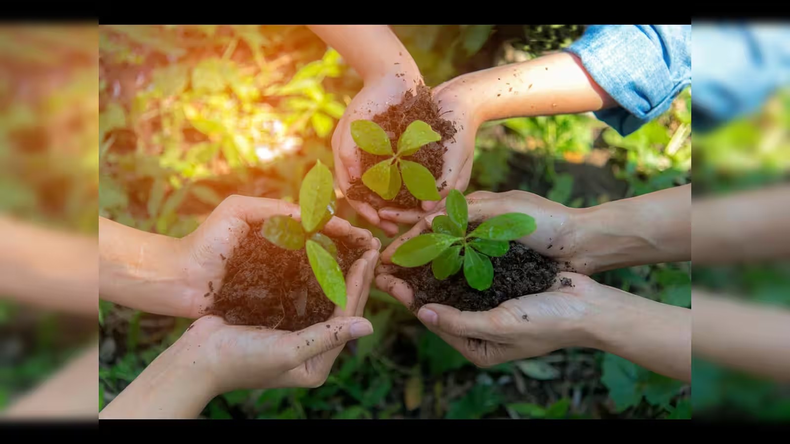 Three Decades of Harvests: How ASEAN and India Are Turning Agricultural Dialogue into Prosperity