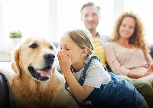 The Psychology Of Pet Talk: Empathy Without Words