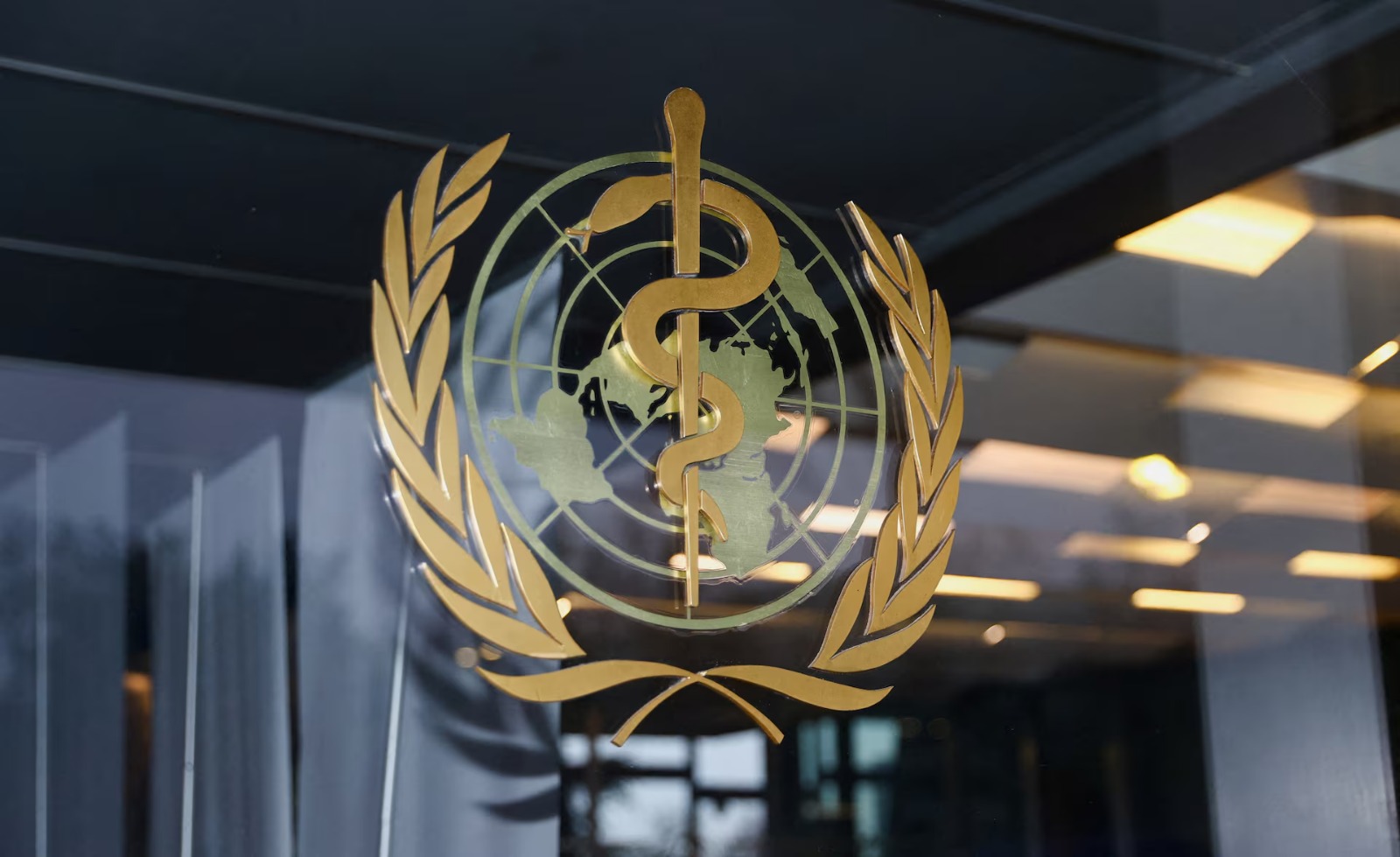 Who Appeals For $1 Bln To Tackle Health Emergencies In 2026