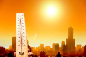 Warming Up: The Impact of India's 0.70°C Temperature Increase