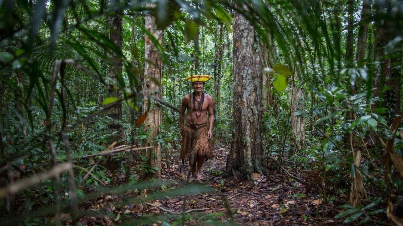 Roots of Harmony: Tribal Communities and Forests Share a Timeless Bond