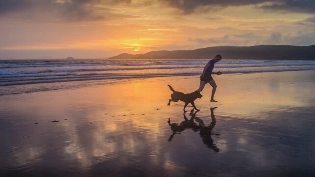 How Does Exercise Trigger Memory-Boosting Brain Ripples In Humans?