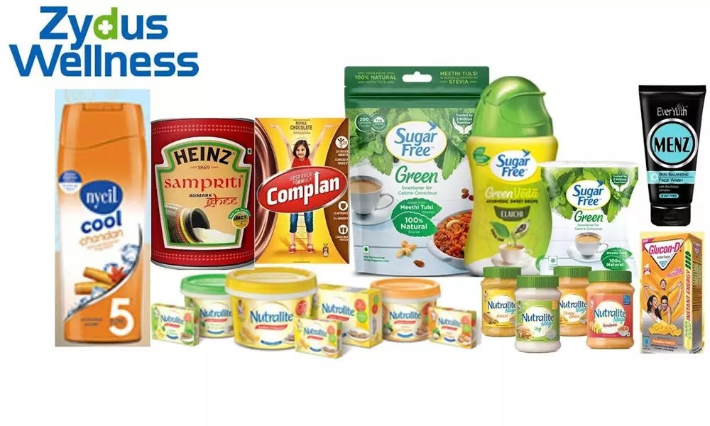 Affordable Wellness? Zydus Board Mulls Share Split to Widen Investor Pool
