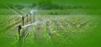 RM Drip & Sprinklers Systems Halts 270 Million Rupee Rights Issue Plan