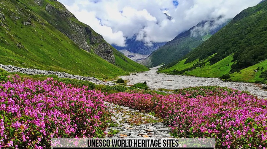 UNESCO-nnect with Nature: 5 Parks That Put India on the Global Map